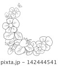 Black and white line art illustration with strawberry flower, leaves, berries, corner frame and butterfly for kids' coloring pages and printable spring stationery, invitations, holiday design 142444541