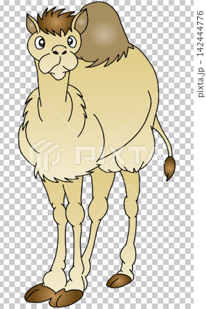 Hand-drawn animal illustration ☆ Camel Hand-drawn animal illustration ☆ Camel 142444776
