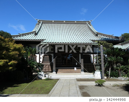 三浦市の本瑞寺（本堂） 142444998