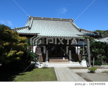 三浦市の本瑞寺（本堂） 142444999
