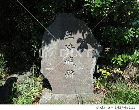 三浦市の三崎城跡 三浦市の三崎城跡 142445113