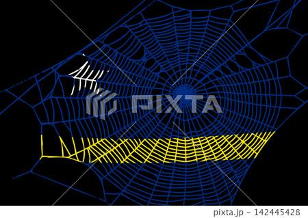 3D Flag on spider web 142445428