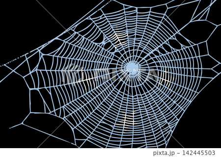 3D Flag on spider web 142445503