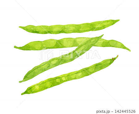 サヤインゲンのセット　夏野菜の手描き水彩イラスト素材 142445526