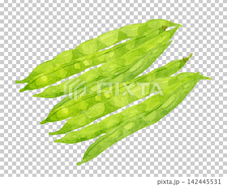 四季豆套裝 - 手繪水彩夏季蔬菜插圖 四季豆套裝 - 手繪水彩夏季蔬菜插圖 142445531