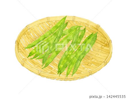 竹ざるに乗ったサヤインゲン 夏野菜の手描き水彩イラスト素材 竹ざるに乗ったサヤインゲン 夏野菜の手描き水彩イラスト素材 142445535