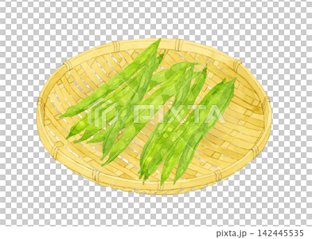 竹ざるに乗ったサヤインゲン 夏野菜の手描き水彩イラスト素材 竹ざるに乗ったサヤインゲン 夏野菜の手描き水彩イラスト素材 142445535