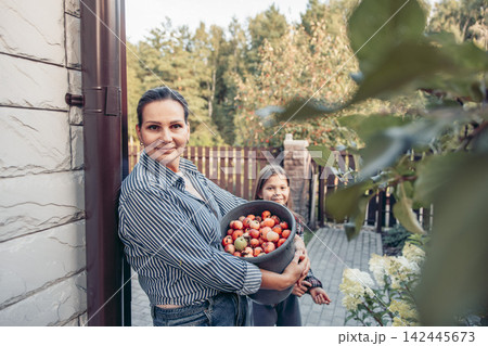mother and daughter, bucket of freshly picked apples in garden yard near country house, warm family harvest outdoors, natural food, childhood learning scene, family care, agriculture, mother and daughter, bucket of freshly picked apples in garden yard near country house, warm family harvest outdoors, natural food, childhood learning scene, family care, agriculture, 142445673