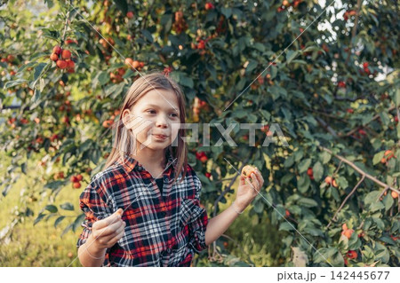 young girl with long brown hair inspects a fruit tree in an outdoor setting. The scene captures the essence of harvest time with ripe fruits visible. young girl with long brown hair inspects a fruit tree in an outdoor setting. The scene captures the essence of harvest time with ripe fruits visible. 142445677