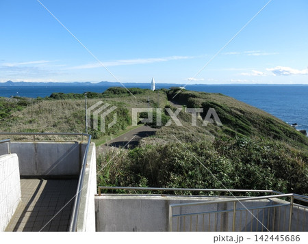 三浦市の県立城ヶ島公園にある第二展望台からの眺め（東側　安房埼灯台・房総半島） 142445686