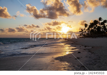 Golden sunset lights a tropical beach and palm trees as people walk along the shoreline Golden sunset lights a tropical beach and palm trees as people walk along the shoreline 142445910