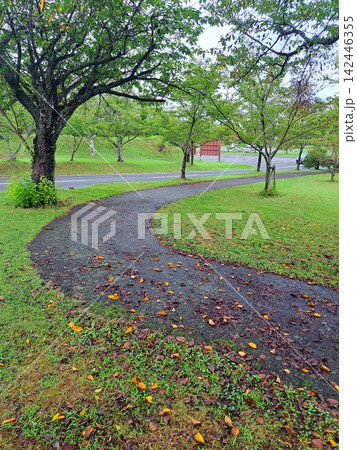 公園のトレイル 公園のトレイル 142446355