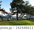 三浦市の三崎にある向ヶ崎公園（北原白秋旧居跡） 142446611