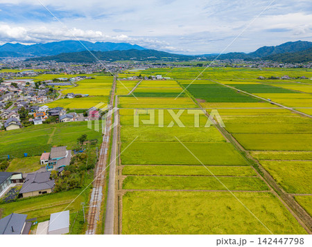 【ドローン空撮】長野県上田市・実りの時期を迎える塩田平【長野県】 142447798