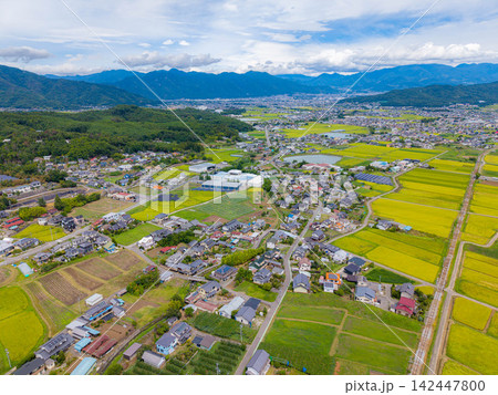 【ドローン空撮】長野県上田市・実りの時期を迎える塩田平【長野県】 【ドローン空撮】長野県上田市・実りの時期を迎える塩田平【長野県】 142447800