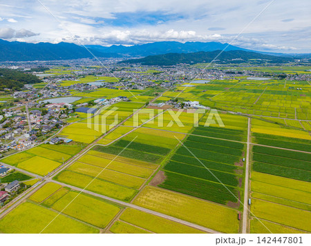 【ドローン空撮】長野県上田市・実りの時期を迎える塩田平【長野県】 【ドローン空撮】長野県上田市・実りの時期を迎える塩田平【長野県】 142447801