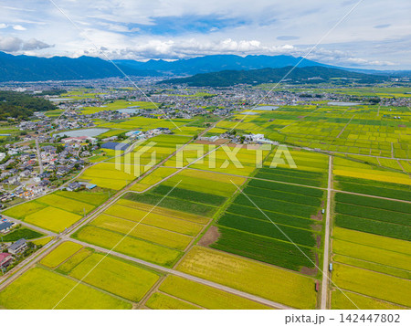【ドローン空撮】長野県上田市・実りの時期を迎える塩田平【長野県】 142447802