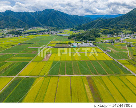 【ドローン空撮】長野県上田市・実りの時期を迎える塩田平【長野県】 【ドローン空撮】長野県上田市・実りの時期を迎える塩田平【長野県】 142447808