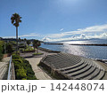横須賀・野比海岸公園から見た太陽の光が煌めく海とパームツリー 142448074