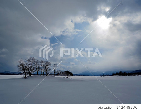 冬の裏磐梯、桧原湖。白い雪原の木立にスポットライトの様に太陽の光が当たり、印象的で綺麗だ。 冬の裏磐梯、桧原湖。白い雪原の木立にスポットライトの様に太陽の光が当たり、印象的で綺麗だ。 142448536