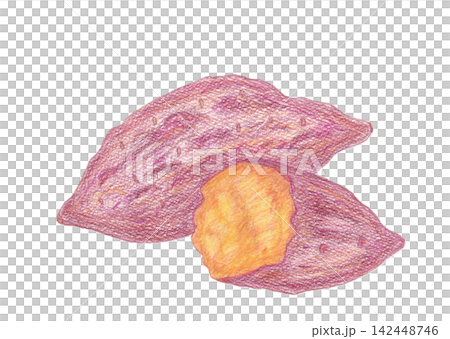 Sweet potato Sweet potato 142448746