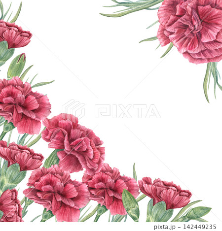 Red carnation square border on isolated background. Flower with buds and leaves frame with copy space. Floral template for memorial day card, victory anniversary invitation, patriotic ceremony design Red carnation square border on isolated background. Flower with buds and leaves frame with copy space. Floral template for memorial day card, victory anniversary invitation, patriotic ceremony design 142449235