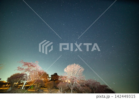 兵庫 猪名川天文台と桜の風景 142449315