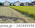秋の収穫期間中の田園風景 142449398