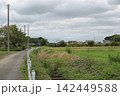 秋、収穫間際の農村の風景 142449588