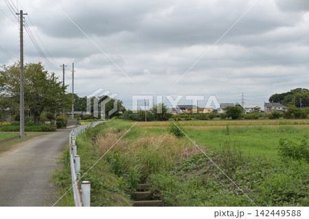 秋、収穫間際の農村の風景 秋、収穫間際の農村の風景 142449588