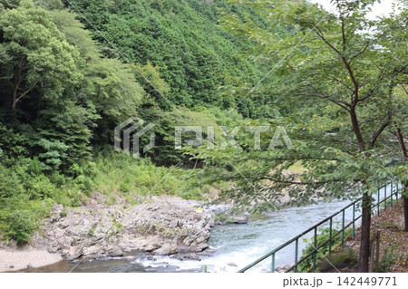 京都嵯峨野トロッコ列車から見る保津峡の新緑風景 京都嵯峨野トロッコ列車から見る保津峡の新緑風景 142449771