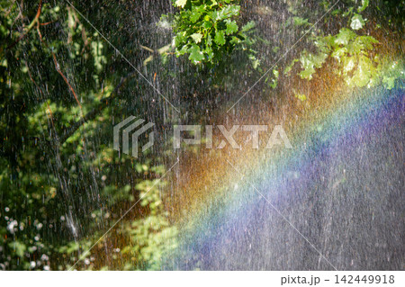 Bright rainbow refracting through water spray in green oak tree forest Bright rainbow refracting through water spray in green oak tree forest 142449918
