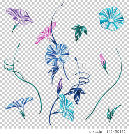 牽牛花插圖集 牽牛花插圖集 142450132