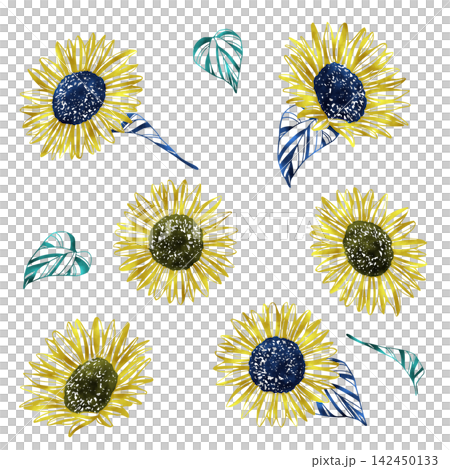 Sunflower illustration material set 142450133