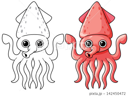 Cute Cartoon Squid Character in Color and Black and White Outline Cute Cartoon Squid Character in Color and Black and White Outline 142450472