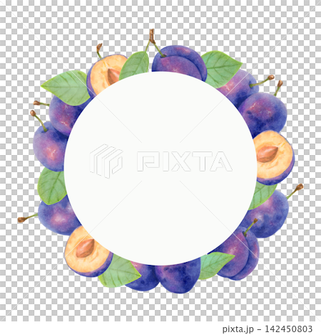 Round frame featuring whole plum, plum half and leaves. Botanical watercolor illustration. Harvest and production theme. Hand drawn isolated art. Fruit for packaging, greeting cards, menu, invitation. Round frame featuring whole plum, plum half and leaves. Botanical watercolor illustration. Harvest and production theme. Hand drawn isolated art. Fruit for packaging, greeting cards, menu, invitation. 142450803