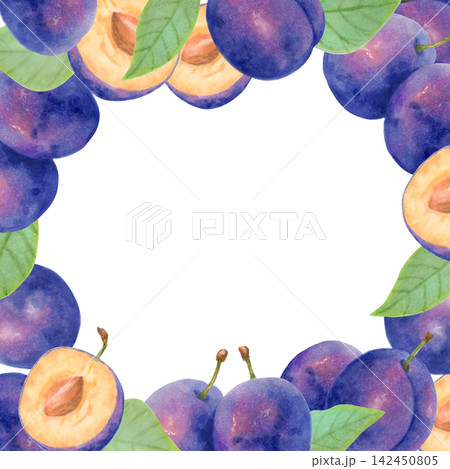 Square frame composed of whole plums, halves, leaves. Botanical watercolor illustration. Harvest, production theme. Hand drawn isolated art. Fruit for packaging, card, menu, invitations and logos. Square frame composed of whole plums, halves, leaves. Botanical watercolor illustration. Harvest, production theme. Hand drawn isolated art. Fruit for packaging, card, menu, invitations and logos. 142450805