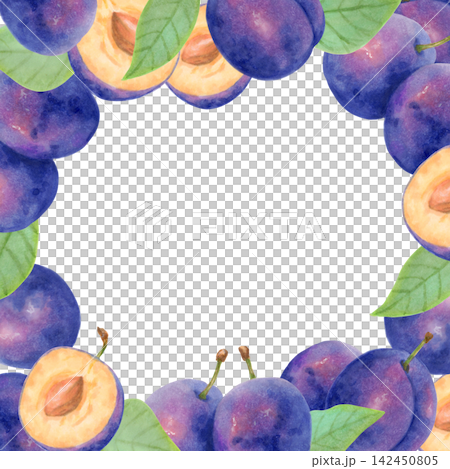 Square frame composed of whole plums, halves, leaves. Botanical watercolor illustration. Harvest, production theme. Hand drawn isolated art. Fruit for packaging, card, menu, invitations and logos. Square frame composed of whole plums, halves, leaves. Botanical watercolor illustration. Harvest, production theme. Hand drawn isolated art. Fruit for packaging, card, menu, invitations and logos. 142450805