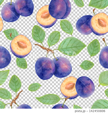 Seamless pattern featuring whole plums, leaves, slices. Watercolor illustration. Fruit background for menu designs, textiles and fabrics. Harvest and production theme. Hand-drawn isolated artwork Seamless pattern featuring whole plums, leaves, slices. Watercolor illustration. Fruit background for menu designs, textiles and fabrics. Harvest and production theme. Hand-drawn isolated artwork 142450806