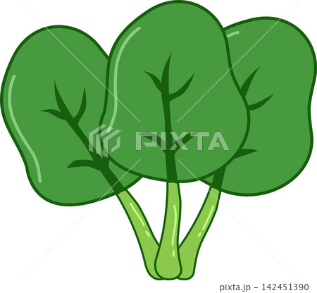 spinach illustration healthy vegetable 142451390
