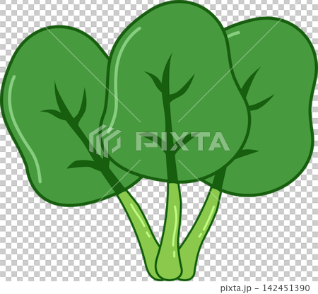 spinach illustration healthy vegetable 142451390