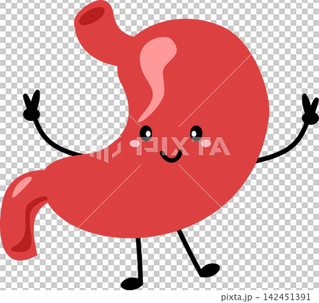 stomach character organ illustration stomach character organ illustration 142451391