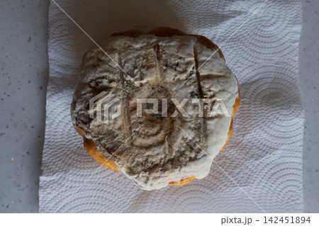 Decaying pumpkin with a white fungal growth on a kitchen paper towel Decaying pumpkin with a white fungal growth on a kitchen paper towel 142451894