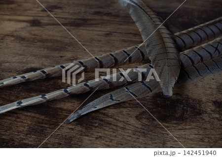Pheasant feathers on rustic wooden surface Pheasant feathers on rustic wooden surface 142451940