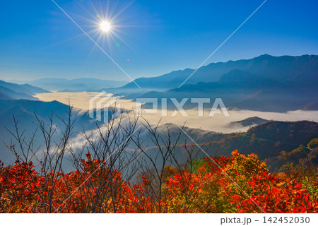 秋の快晴の朝 枝折峠から手前に真っ赤な紅葉を配し望む奥只見湖の雲海と流れ落ちる滝雲 秋の快晴の朝 枝折峠から手前に真っ赤な紅葉を配し望む奥只見湖の雲海と流れ落ちる滝雲 142452030