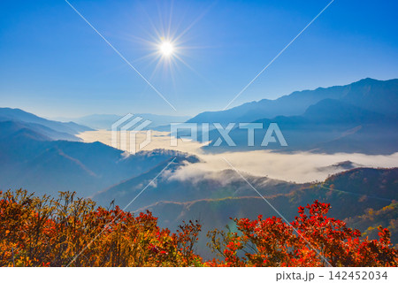 秋の快晴の朝 枝折峠から手前に真っ赤な紅葉を配し望む奥只見湖の雲海と流れ落ちる滝雲 秋の快晴の朝 枝折峠から手前に真っ赤な紅葉を配し望む奥只見湖の雲海と流れ落ちる滝雲 142452034