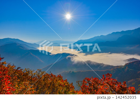秋の快晴の朝 枝折峠から手前に真っ赤な紅葉を配し望む奥只見湖の雲海と流れ落ちる滝雲 秋の快晴の朝 枝折峠から手前に真っ赤な紅葉を配し望む奥只見湖の雲海と流れ落ちる滝雲 142452035