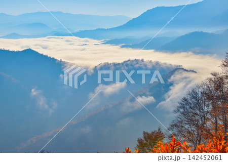 秋の快晴の朝 枝折峠の紅葉最盛期に手前の真っ赤な紅葉と望む奥只見湖の滝雲風景 秋の快晴の朝 枝折峠の紅葉最盛期に手前の真っ赤な紅葉と望む奥只見湖の滝雲風景 142452061