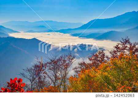 秋の快晴の朝 枝折峠の紅葉最盛期に手前の真っ赤な紅葉と望む奥只見湖の滝雲風景 秋の快晴の朝 枝折峠の紅葉最盛期に手前の真っ赤な紅葉と望む奥只見湖の滝雲風景 142452063