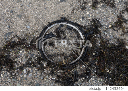 Discarded bicycle wheel lying among seaweed and sand, representing plastic pollution on the beach 142452694